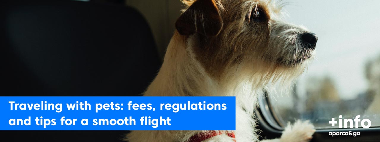 blog_desembre_blog_viajar_mascotas_fr_09